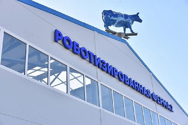 В Медведевском районе открывается вторая роботизированная ферма